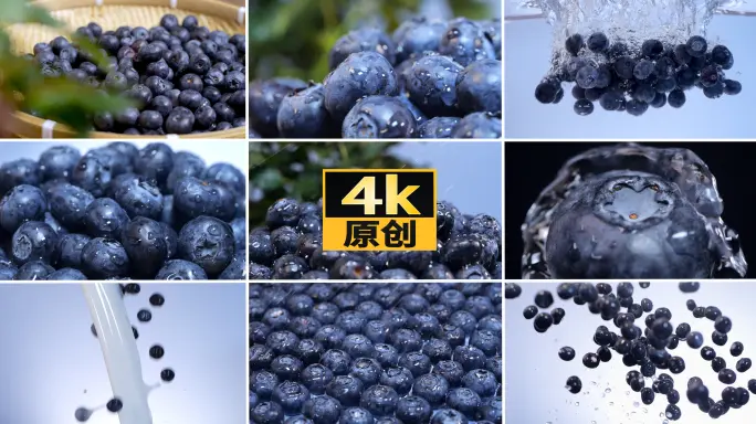 秘语app好用吗？一文带你了解：如何查看更新频率与内容上新节奏，秘语app激活码兑换vip