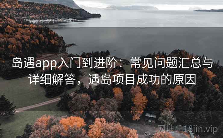 岛遇app入门到进阶：常见问题汇总与详细解答，遇岛项目成功的原因