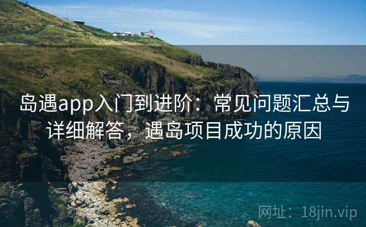 岛遇app入门到进阶：常见问题汇总与详细解答，遇岛项目成功的原因
