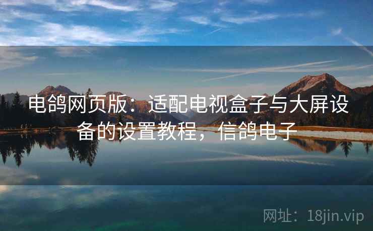 电鸽网页版：适配电视盒子与大屏设备的设置教程，信鸽电子