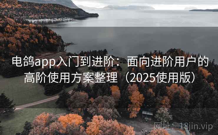 电鸽app入门到进阶:面向进阶用户的高阶使用方案整理(2025使用版) 电鸽app入门到进阶:面向进阶用户的高阶使用方案整理(2025使用版)