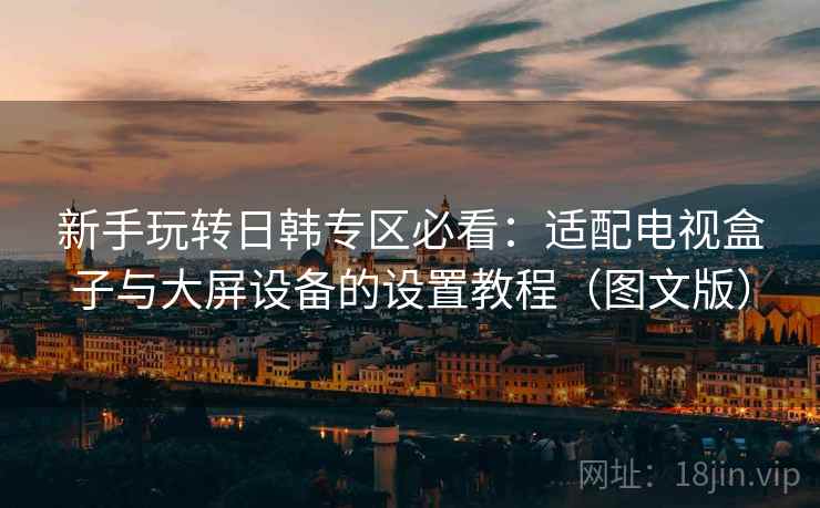 新手玩转日韩专区必看：适配电视盒子与大屏设备的设置教程（图文版）