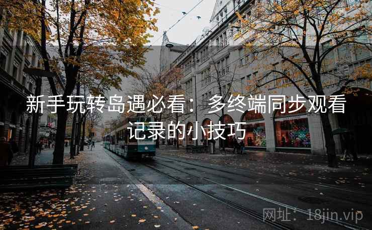 新手玩转岛遇必看：多终端同步观看记录的小技巧