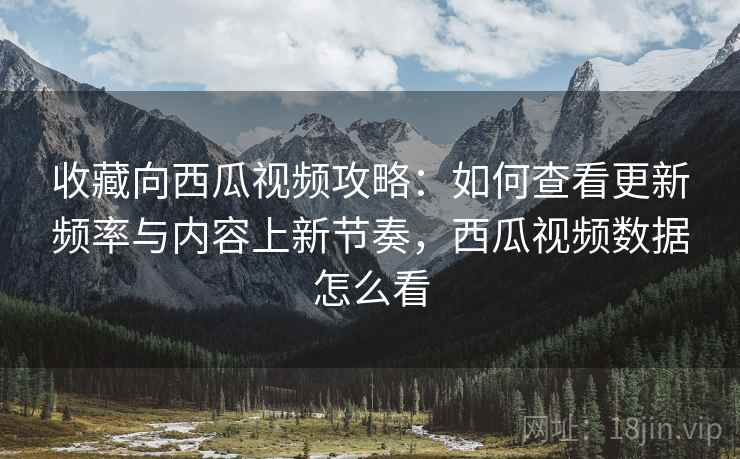 收藏向西瓜视频攻略：如何查看更新频率与内容上新节奏，西瓜视频数据怎么看