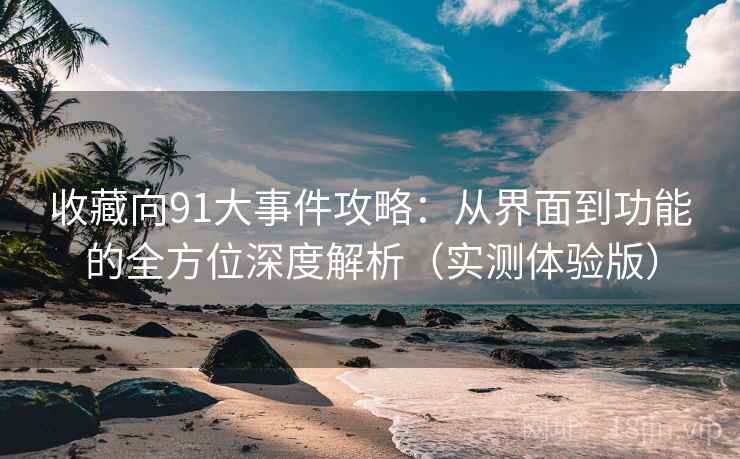 收藏向91大事件攻略：从界面到功能的全方位深度解析（实测体验版）