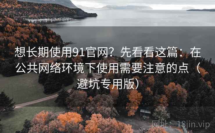 想长期使用91官网?先看看这篇:在公共网络环境下使用需要注意的点(避坑专用版) 想长期使用91官网?先看看这篇:在公共网络环境下使用需要注意的点(避坑专用版)