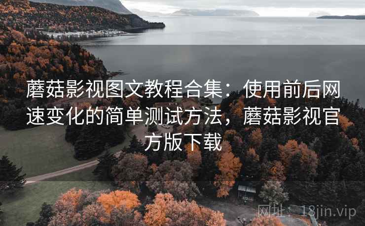 蘑菇影视图文教程合集:使用前后网速变化的简单测试方法,蘑菇影视官方版下载 蘑菇影视图文教程合集:使用前后网速变化的简单测试方法,蘑菇影视官方版下载