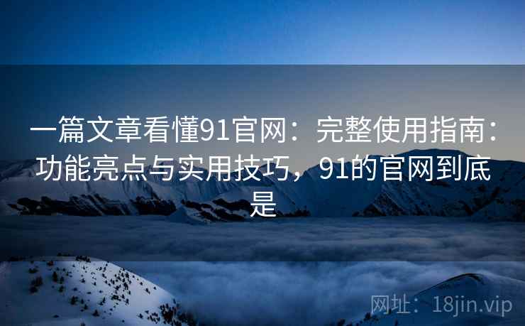一篇文章看懂91官网：完整使用指南：功能亮点与实用技巧，91的官网到底是
