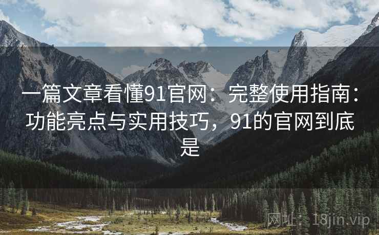 一篇文章看懂91官网：完整使用指南：功能亮点与实用技巧，91的官网到底是