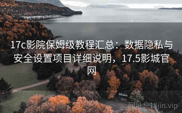 17c影院保姆级教程汇总：数据隐私与安全设置项目详细说明，17.5影城官网