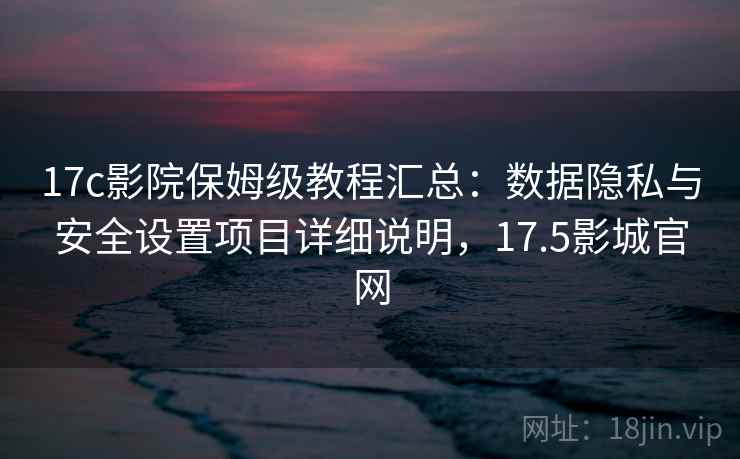 17c影院保姆级教程汇总：数据隐私与安全设置项目详细说明，17.5影城官网
