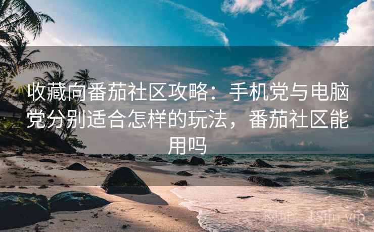 收藏向番茄社区攻略：手机党与电脑党分别适合怎样的玩法，番茄社区能用吗