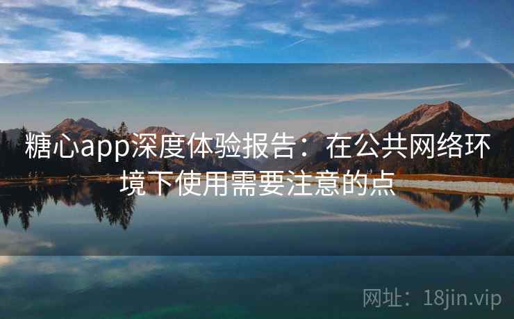 糖心app深度体验报告：在公共网络环境下使用需要注意的点